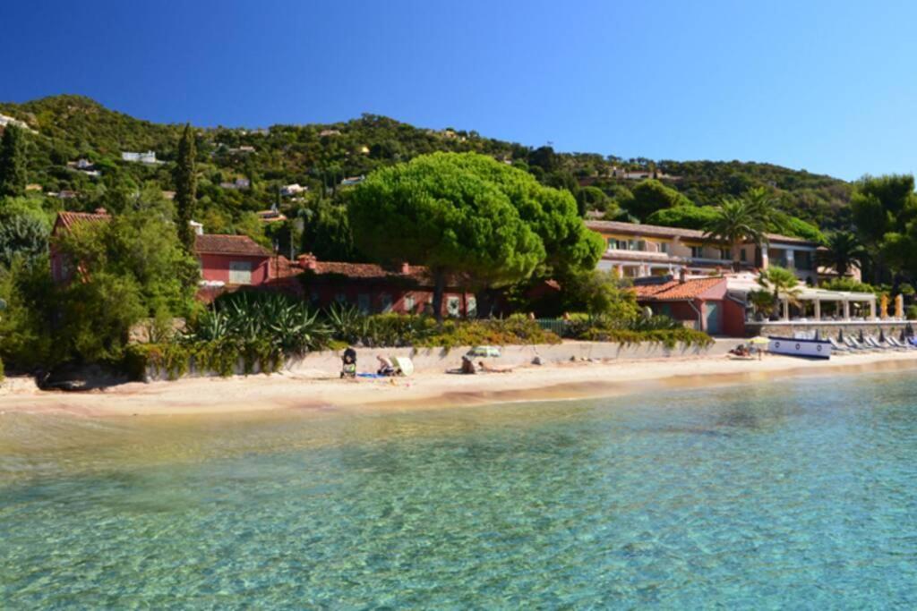 Magnifique Studio A 50M De La Plage De Cavaliere - Studio Tamarindo Le Lavandou Exteriér fotografie